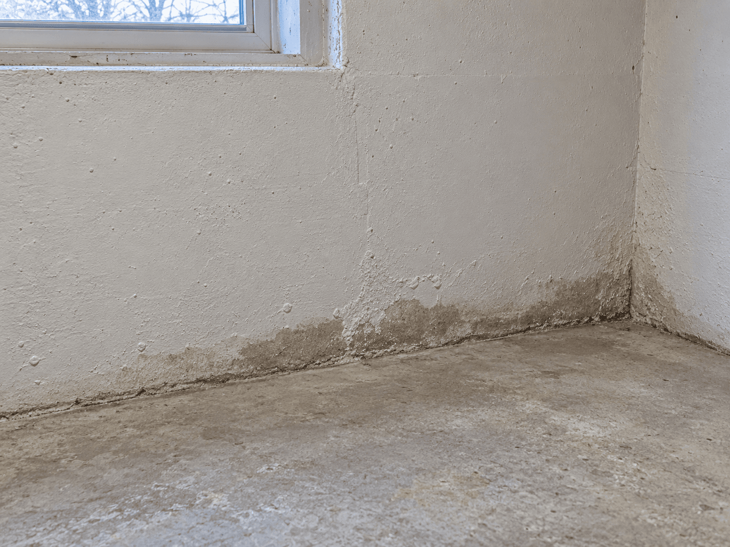 Localized discolouration and paint damage along a basement foundation wall above a dry concrete floor.